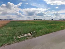 Prodej komerčního pozemku, Bernartice, 12230 m2