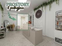 Pronájem komerční nemovitosti, Ostrava - Moravská Ostrava, Přívozská, 51 m2