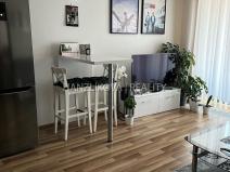 Pronájem bytu 2+kk, České Budějovice, Volejbalistů, 45 m2