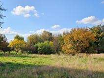 Prodej pozemku pro bydlení, Uhlířská Lhota, 3213 m2