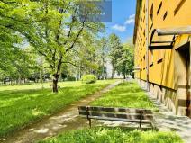 Pronájem bytu 1+kk, Havířov, Josefa Hory, 23 m2