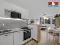 Prodej bytu 2+kk, Praha - Nusle, Plamínkové, 40 m2