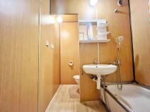 Pronájem bytu 2+kk, Ústí nad Labem, Brandtova, 40 m2