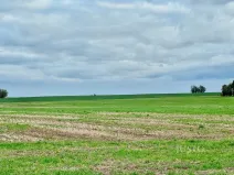 Prodej pole, Černuc - Miletice, 7167 m2
