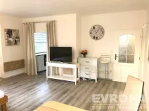 Pronájem bytu 1+kk, Plzeň - Černice, K Lutové, 47 m2