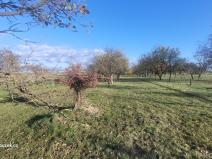 Prodej zahrady, Bochoř, 1909 m2