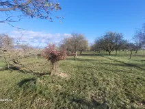 Prodej zahrady, Bochoř, 1909 m2