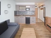 Pronájem bytu 1+kk, Úněšov, 20 m2