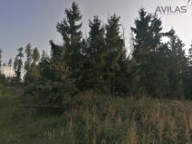 Prodej lesa, Čechtice - Jeníkov, 5 m2