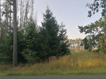 Prodej lesa, Čechtice - Jeníkov, 5 m2