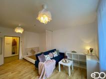 Pronájem bytu 1+kk, Mladá Boleslav, Pod Borkem, 34 m2