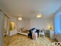 Pronájem bytu 1+kk, Mladá Boleslav, Pod Borkem, 34 m2