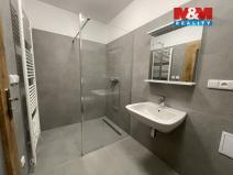 Pronájem bytu 2+kk, Ostrava - Vítkovice, Lidická, 99 m2