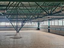 Pronájem obchodního prostoru, Praha, Za Mototechnou, 1137 m2