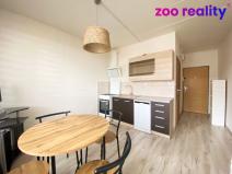 Pronájem bytu 1+1, Chomutov, Pod Břízami, 35 m2