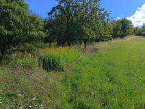 Prodej zahrady, Koryčany - Blišice, 4839 m2