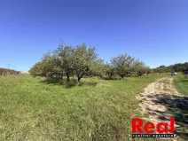 Prodej pozemku pro bydlení, Veverské Knínice, 3129 m2