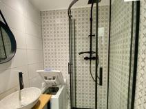 Pronájem bytu 1+1, Chodov, Revoluční, 36 m2