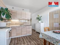 Prodej bytu 1+1, Ústí nad Labem - Ústí nad Labem-centrum, Hornická, 40 m2