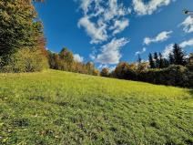 Prodej louky, Vápenná, 700 m2