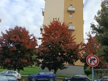 Prodej bytu 2+1, Kuřim, Na Královkách, 54 m2