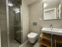 Pronájem bytu 1+kk, Brno, Placzkova, 27 m2