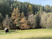 Prodej chalupy, Besednice - Malče, 55 m2