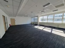 Pronájem komerční nemovitosti, Praha, Radlická, 789 m2