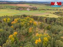 Prodej lesa, Ježovy - Trnčí, 39171 m2