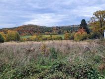 Prodej pozemku pro bydlení, Mníšek pod Brdy, Stříbrná Lhota, 8666 m2