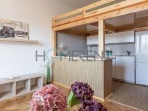 Pronájem bytu 1+kk, Praha - Nusle, U křížku, 30 m2