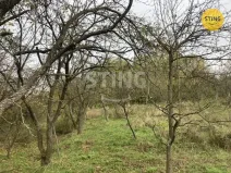 Prodej sadu/vinice, Koryčany - Blišice, 4839 m2