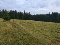 Prodej pozemku pro bydlení, Kvilda, 2500 m2