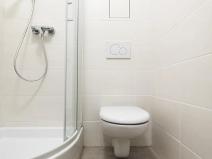 Pronájem bytu 2+1, Praha - Bubeneč, U zeměpisného ústavu, 46 m2