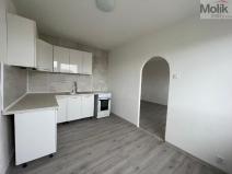 Pronájem bytu 3+1, Most, Lidická, 62 m2