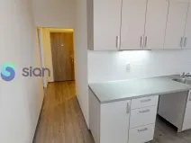 Pronájem bytu 2+1, Ostrava - Hrabůvka, Holasova, 55 m2