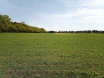 Prodej pole, Brandýs nad Labem-Stará Boleslav, 250000 m2