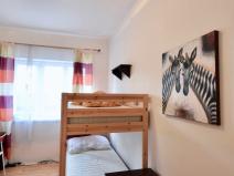 Pronájem bytu 1+kk, Brno - Staré Brno, Náplavka, 20 m2