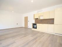 Pronájem bytu 1+kk, Plzeň, Pilařská, 38 m2