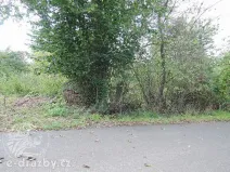 Dražba pozemku, Želízy, 3979 m2