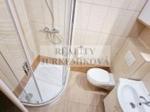 Prodej bytu 1+1, České Budějovice - České Budějovice 3, Riegrova, 25 m2