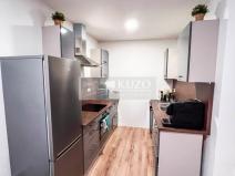 Pronájem bytu 3+kk, Šaratice, Náves, 45 m2