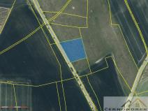 Prodej pole, Třebívlice - Šepetely, 5989 m2