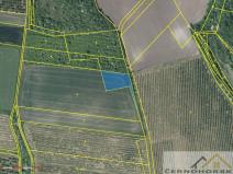 Prodej pole, Třebívlice - Šepetely, 5989 m2