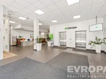 Pronájem kanceláře, Praha - Strašnice, V olšinách, 17 m2