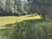 Prodej louky, Babice, 45608 m2