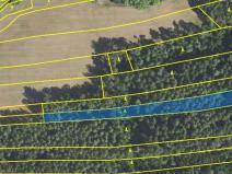 Prodej lesa, Lišany, 5889 m2