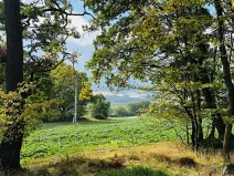 Prodej lesa, Postupice, 1363 m2