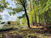 Prodej lesa, Postupice, 893 m2