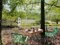 Prodej lesa, Postupice, 893 m2